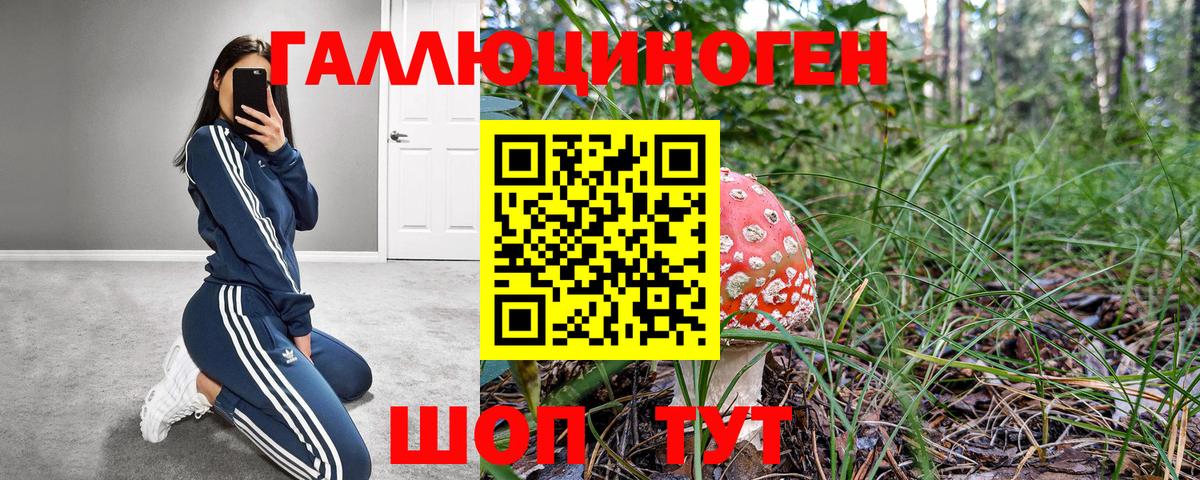 Конаково  Галлюциногенные грибы Psilocybe  Галлюциногенные грибы Cubensis  Вход с VPN 